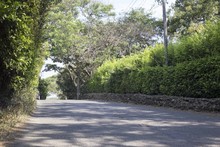 &iquest;Es moroso de las megaobras? Aproveche el papayazo y p&oacute;ngase al d&iacute;a