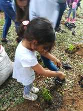Alcald&iacute;a de Cali se uni&oacute; a conmemoraci&oacute;n del D&iacute;a Mundial de los Humedales
