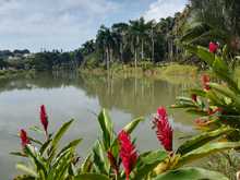 Alcald&iacute;a de Cali se uni&oacute; a conmemoraci&oacute;n del D&iacute;a Mundial de los Humedales
