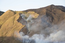 En mes y medio van 117 incendios forestales en Cali 1