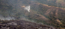 En mes y medio van 117 incendios forestales en Cali 5