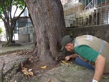 Vuelve la Visitat&oacute;n del Dagma a las comunas de Cali 1