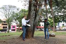 Regres&oacute; la Visitat&oacute;n del Dagma a las Comunas de la ciudad 15
