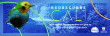 Redescubre Cali