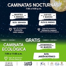 Caminatas Nocturnas y Ecol&oacute;gica: el plan para redescubrir a Cali