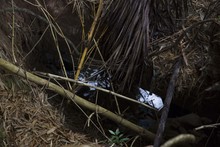 Las universidades de la ciudad tambi&eacute;n se unen para conmemorar el 8 de marzo