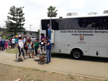 Centro de Zoonosis asignar&aacute; 500 cupos para esterilizaci&oacute;n de caninos y felinos