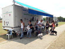 Centro de Zoonosis asignar&aacute; 500 cupos para esterilizaci&oacute;n de caninos y felinos