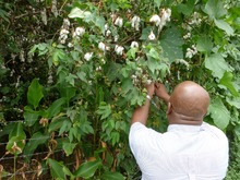 Pedro, el adulto mayor que trabaja por las v&iacute;ctimas del conflicto armado interno en Cali