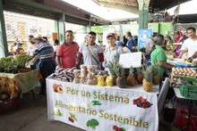 Porvenir, una de las Plazas Vivas de la ciudad 4
