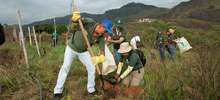 Alcald&iacute;a Municipal realiza siembras en zona rural para proteger el agua de Cali