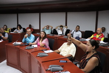 Elegidos delegados de las veedur&iacute;as ciudadanas ante el Consejo Municipal de Participaci&oacute;n de Cali