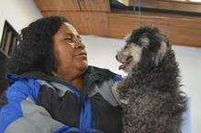 La tenencia responsable y el bienestar animal se imponen en el &aacute;rea de renovaci&oacute;n urbana