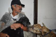 La tenencia responsable y el bienestar animal se imponen en el &aacute;rea de renovaci&oacute;n urbana