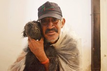 La tenencia responsable y el bienestar animal se imponen en el &aacute;rea de renovaci&oacute;n urbana