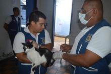 La tenencia responsable y el bienestar animal se imponen en el &aacute;rea de renovaci&oacute;n urbana