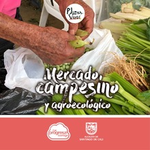 La plaza La Floresta tendr&aacute; el &lsquo;Mercado Campesino y Agroecol&oacute;gico&rsquo;