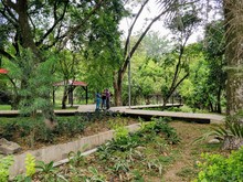 Importante inversi&oacute;n de la administraci&oacute;n Armitage en parques y zonas comunes de Cali