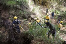 Este s&aacute;bado, &uacute;nete a la jornada de limpieza de la quebrada Isabel P&eacute;rez