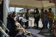 Con esterilizaci&oacute;n gratuita, caninos y felinos del &aacute;rea de renovaci&oacute;n urbana de Cali, mejoran sus condiciones de vida