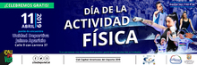 DiaActFis 01