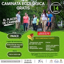 La Caminata Nocturna de este jueves se une a la celebraci&oacute;n del D&iacute;a de la Actividad F&iacute;sica