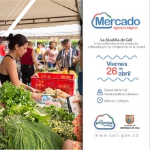 Regresa el Mercado Agroecol&oacute;gico en el centro de la ciudad