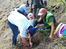 El imponente Cristo Rey, ve reverdecer las monta&ntilde;as que lo rodean 3
