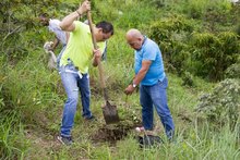 Secretar&iacute;a del Deporte y la Recreaci&oacute;n se uni&oacute; a la celebraci&oacute;n del D&iacute;a del &Aacute;rbol