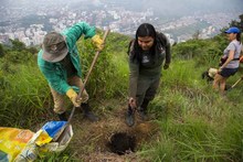 Secretar&iacute;a del Deporte y la Recreaci&oacute;n se uni&oacute; a la celebraci&oacute;n del D&iacute;a del &Aacute;rbol