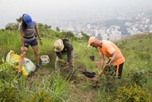 Secretar&iacute;a del Deporte y la Recreaci&oacute;n se uni&oacute; a la celebraci&oacute;n del D&iacute;a del &Aacute;rbol