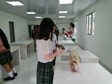 Instituci&oacute;n Educativa Golondrinas estrena laboratorio de qu&iacute;mica