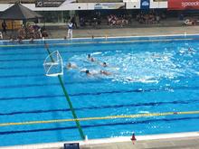 Los m&aacute;s importantes del Polo acu&aacute;tico de Colombia se toman las piscinas Hernando Botero Obyrne 