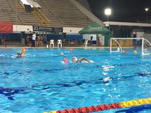 Los m&aacute;s importantes del Polo acu&aacute;tico de Colombia se toman las piscinas Hernando Botero Obyrne 