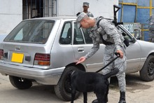 Aumentan patrullajes de la Fuerza A&eacute;rea en las calles de Cali 