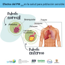 El imponente Cristo Rey, ve reverdecer las monta&ntilde;as que lo rodean 1
