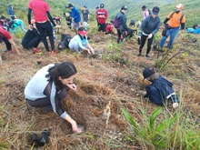 Un  millar de personas sembraron tres mil &aacute;rboles en Cristo Rey, no import&oacute; la lluvia