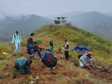 Un  millar de personas sembraron tres mil &aacute;rboles en Cristo Rey, no import&oacute; la lluvia