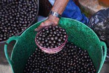 Naid&iacute;: el &ldquo;s&uacute;per fruto&rdquo; que debes probar en Timbiqu&iacute;