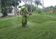Zonas verdes de Cali son intervenidas durante sexto ciclo de corte 