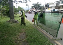Zonas verdes de Cali son intervenidas durante sexto ciclo de corte 