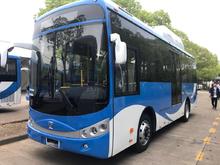 Primeros 21 buses a gas 5