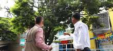 Con la Visitat&oacute;n, el Dagma cumpli&oacute; con m&aacute;s de 30 mil solicitudes de tala y poda de &aacute;rboles en Cali