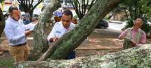 Con la Visitat&oacute;n, el Dagma cumpli&oacute; con m&aacute;s de 30 mil solicitudes de tala y poda de &aacute;rboles en Cali