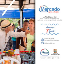 &iexcl;Este viernes 7 de junio ac&eacute;rquese a mercar en el bulevar!