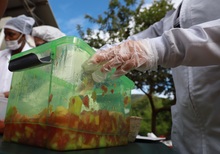 Un total de 500 ni&ntilde;os participaron de la primera Tienda Escolar Saludable en el corregimiento El Saladito. 