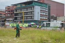 Limpieza, poda y recuperaci&oacute;n del &aacute;rea de renovaci&oacute;n urbana: uni&oacute;n de esfuerzos de Emru, Uaespm y Ciudad Limpia