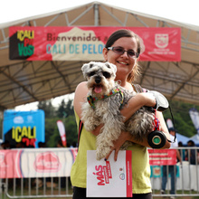 M&aacute;s de 800 mascotas recibieron atenci&oacute;n en feria de servicios ofrecida por la Alcald&iacute;a de Cali