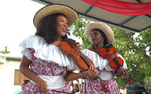 El viol&iacute;n caucano: el instrumento que aprendieron a tocar a o&iacute;do nuestros esclavos es uno de los reyes del Petronio &Aacute;lvarez 2