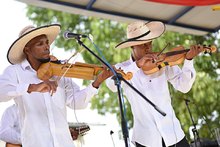 El viol&iacute;n caucano: el instrumento que aprendieron a tocar a o&iacute;do nuestros esclavos es uno de los reyes del Petronio &Aacute;lvarez 14